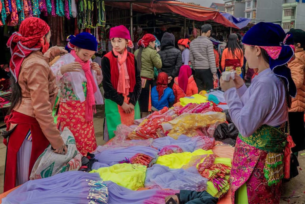 In the north, spots like Ha Giang, Ba Be Lake, and Pu Luong Nature Reserve are drawing more attention from adventurous travelers seeking nature & community-based tourism.