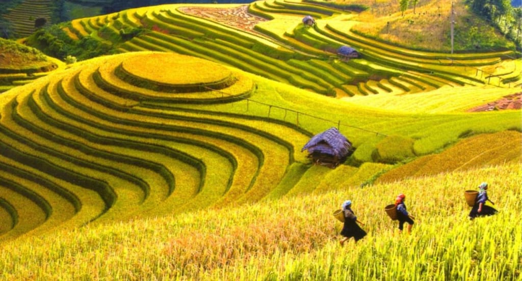 Highland Escapade: Ha Giang & Northern Vietnam Experience