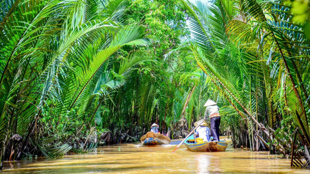 Visitors can cycle through rice fields, stay in boutique lodges, and join farm-to-table cooking sessions.