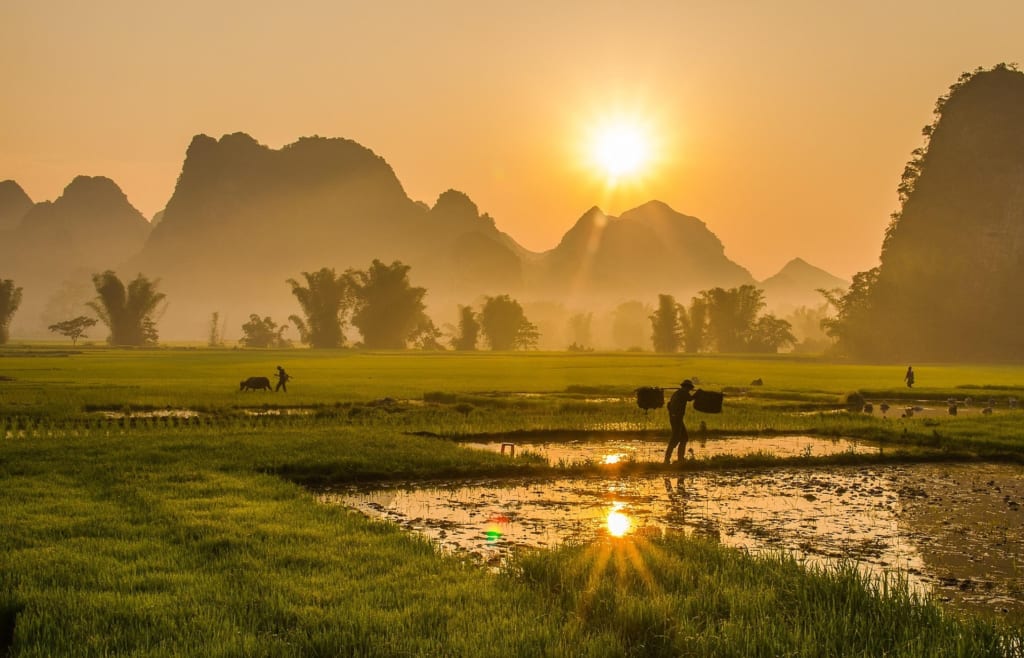 Journey of Vietnam Life & Cuisine 5 Days 4 Nights