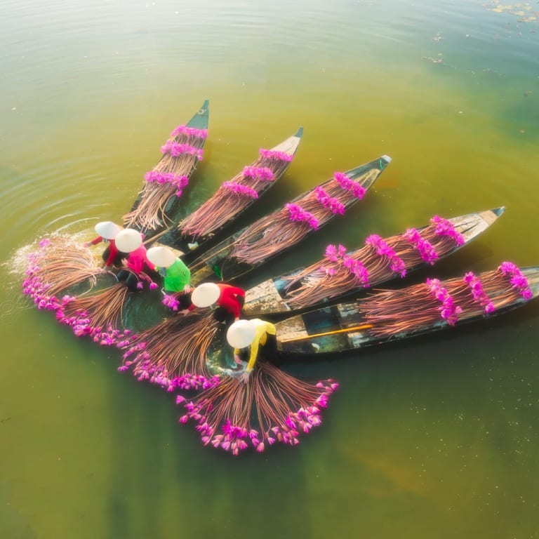 Top Experiences Foreign Travelers Seek in Vietnam