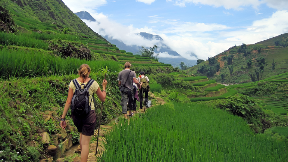 Travelers are increasingly conscious of environmental and social impacts and prefer tours that support local communities and preserve natural resources.